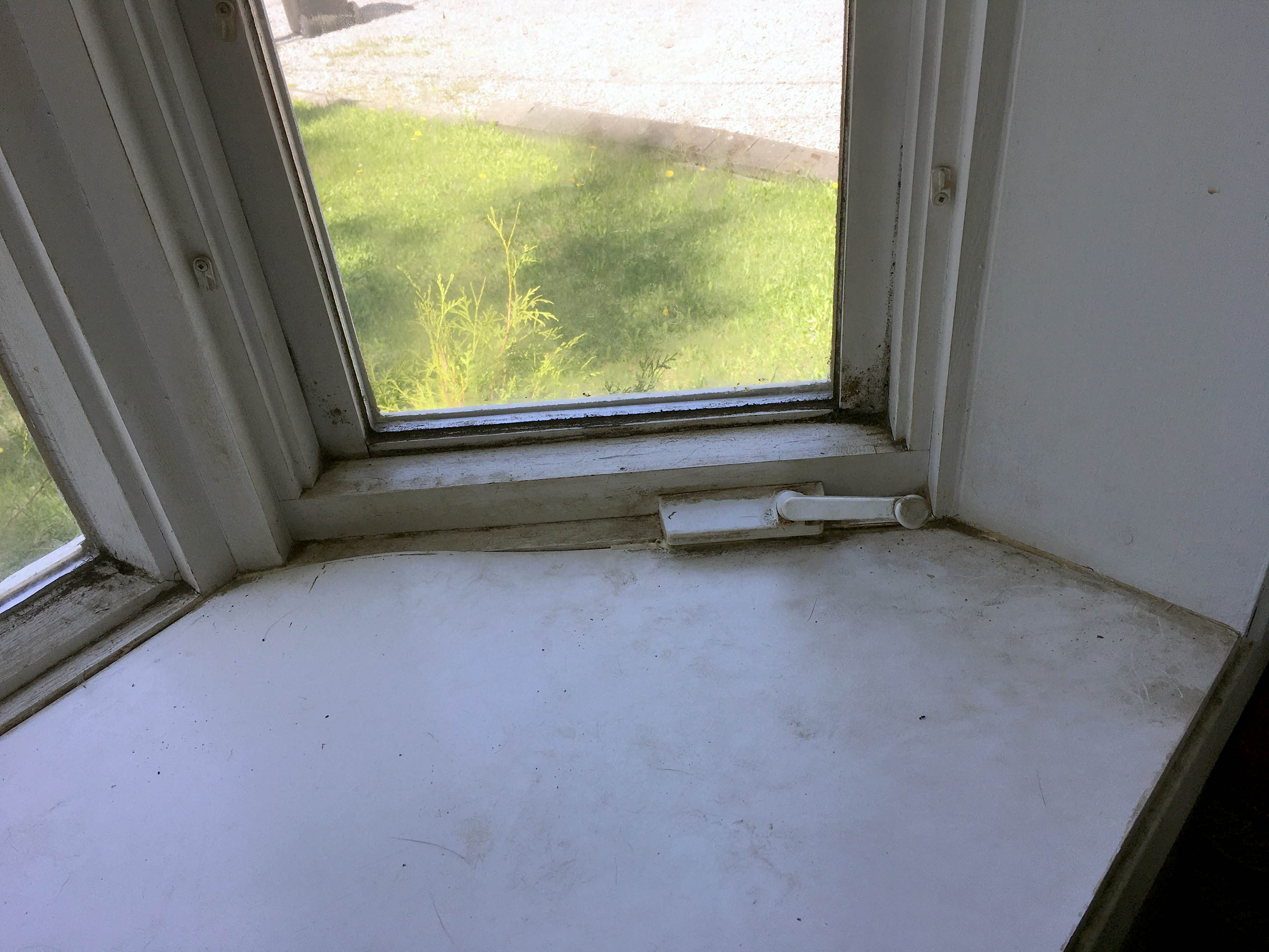 bay-window (6)